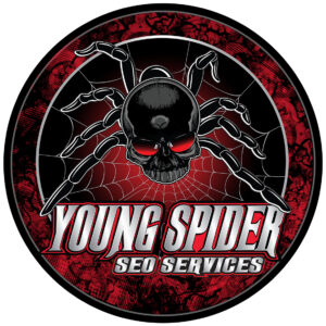Young Spider SEO And Digital Marketing